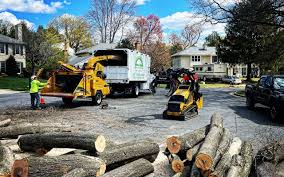 Best Storm Damage Tree Cleanup  in Sunset Beach, NC